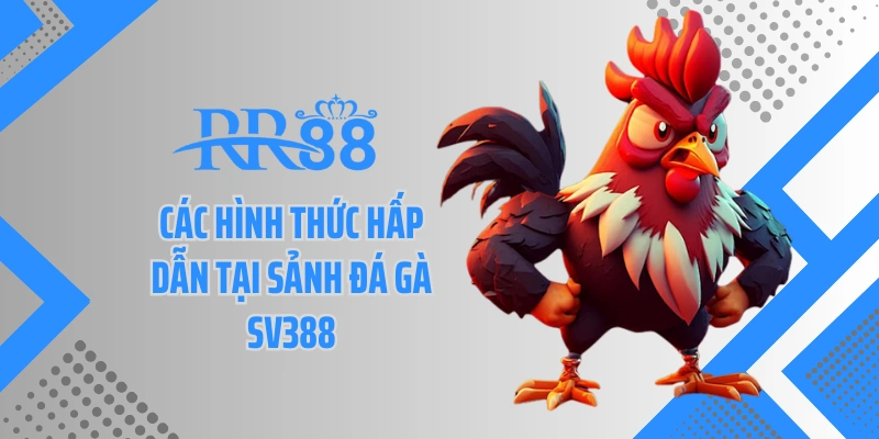 Các hình thức hấp dẫn tại sảnh đá gà SV388