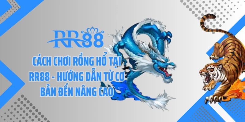 Cách Chơi Rồng Hổ