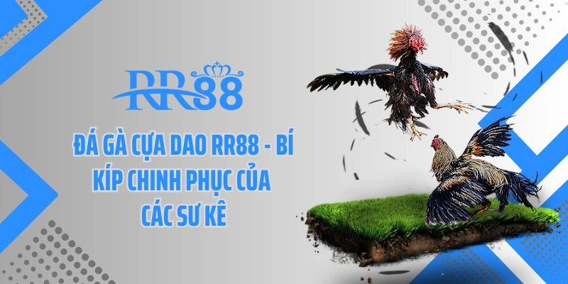 Đá Gà Cựa Dao Rr88