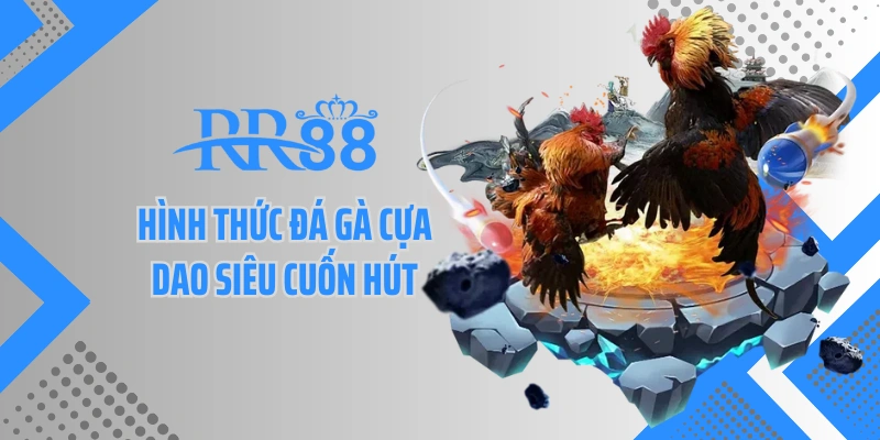 Hình thức đá gà cựa dao siêu cuốn hút