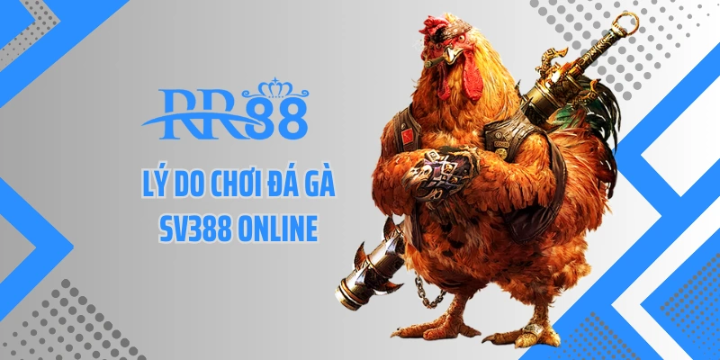 Lý do chơi đá gà SV388 online