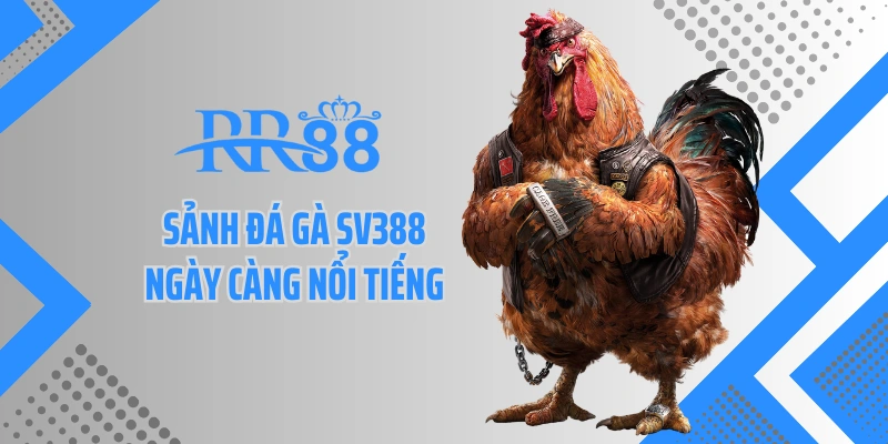 Sảnh đá gà Sv388 ngày càng nổi tiếng